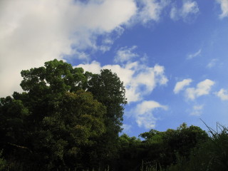 天満宮の空