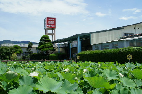 藤井養蜂場