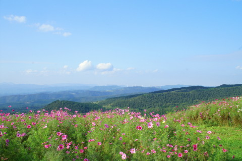 五馬高原