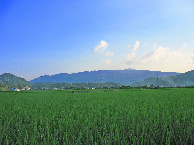 ミリカローデン那珂川の田園風景