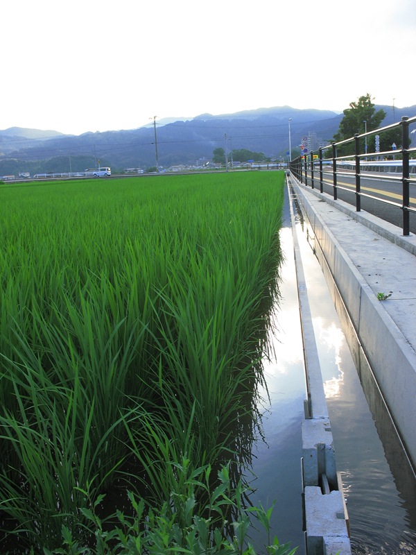 田園風景