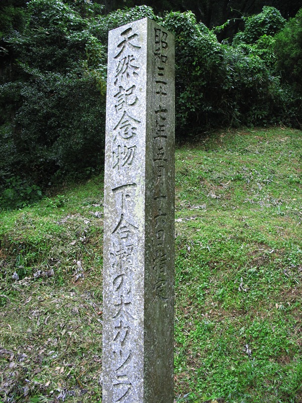 下合瀬の大カツラ 石碑