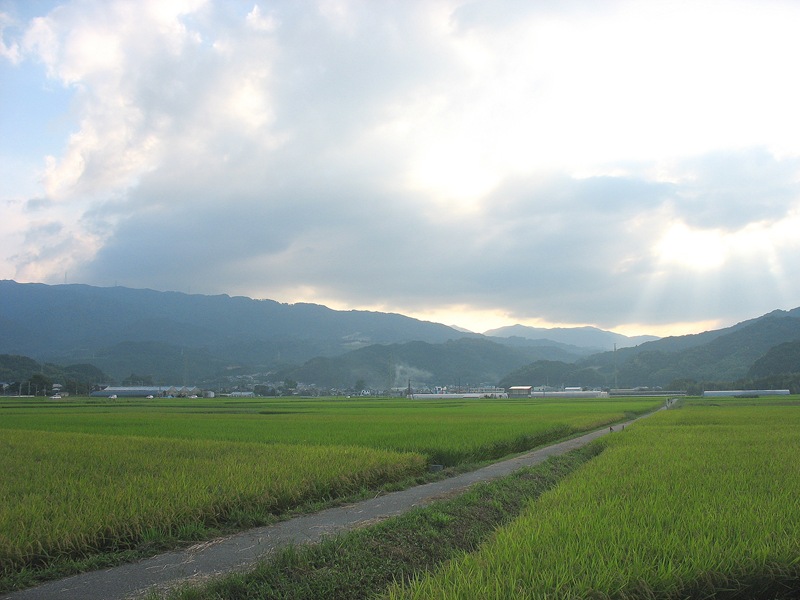 那珂川市 金山､脊振山系方面