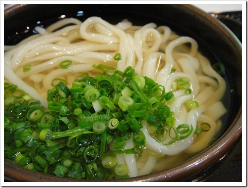 誠屋 冷しかけうどん 290円