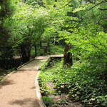 Thumbnail of related posts 104