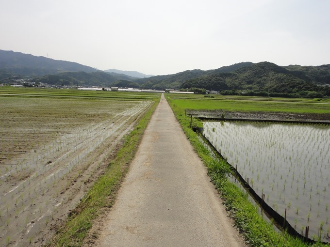 まっすぐに伸びる道