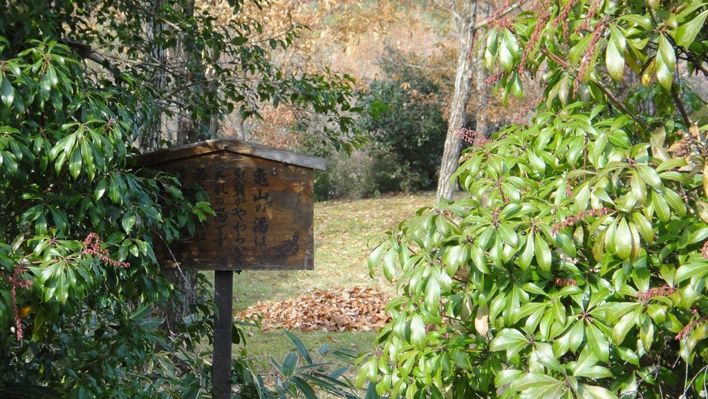 「亀山の湯は泉質がやわらかく美肌の湯です」