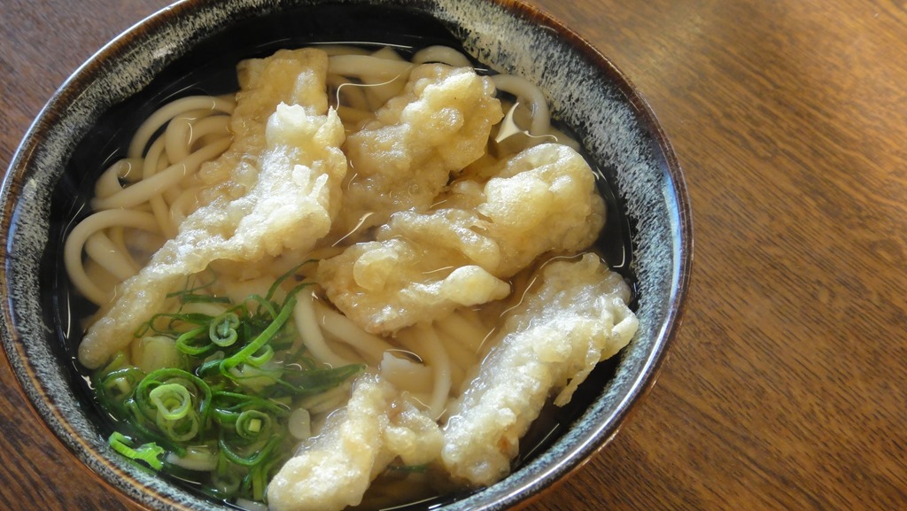 ごぼう天うどん