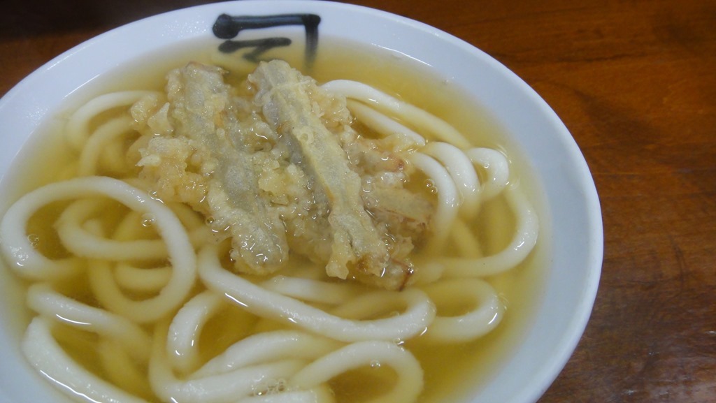 ごぼう天うどん