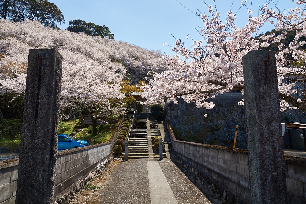 本證寺